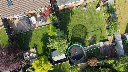Lush garden overview from above